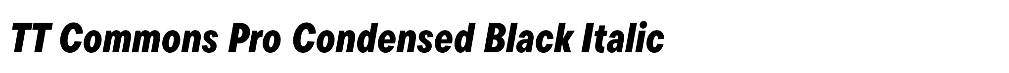 TT Commons Pro Condensed Black Italic image